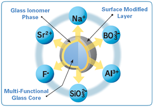 Giomer Anatomy of S-PRG